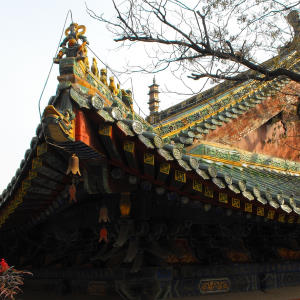 Shaolin Temple Rooftop